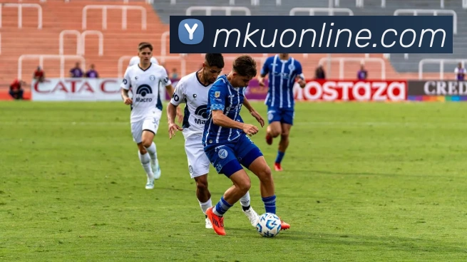 多媒体互动体验